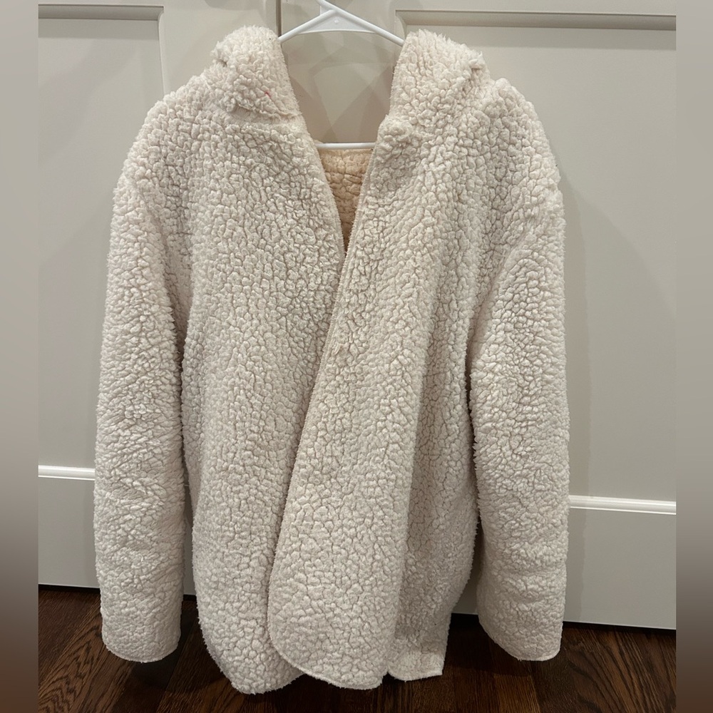 Urban Outfitters Sherpa Hoodie